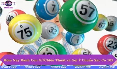 Hôm nay đánh con gì