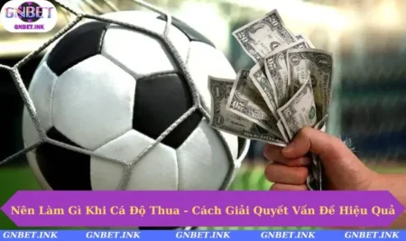 Nên Làm Gì Khi Cá Độ Thua